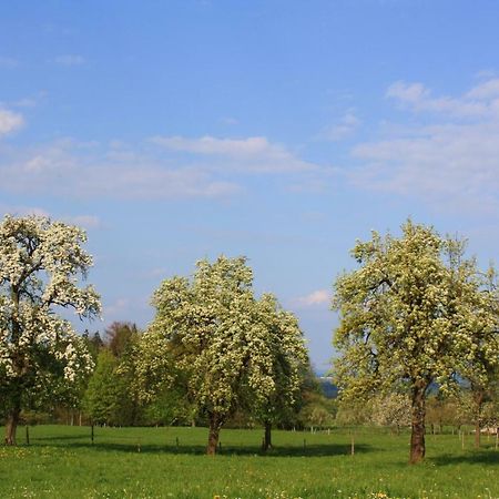 Appartements Apfelbluete Bad Feilnbach Buitenkant foto